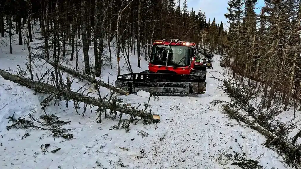 PHOTO 9 - Surfaceur – grande taille