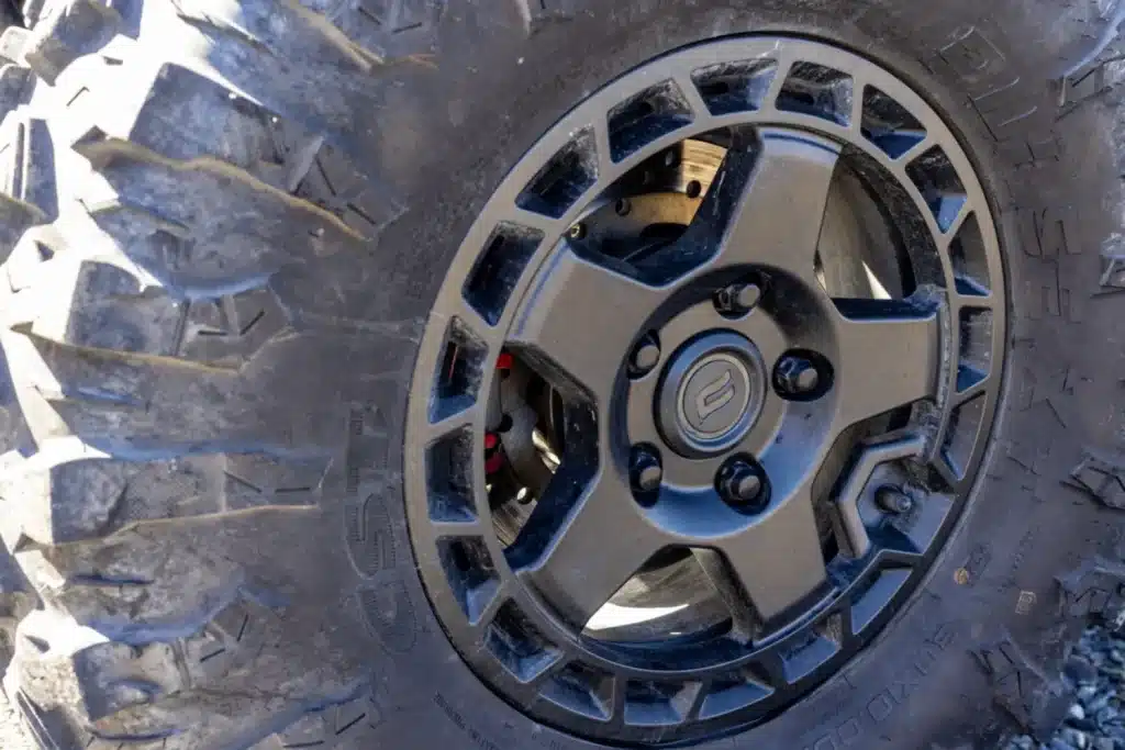 Photo 12 – grande taille