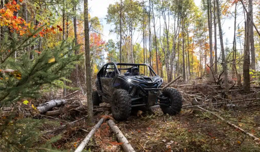 Photo 18 – grande taille