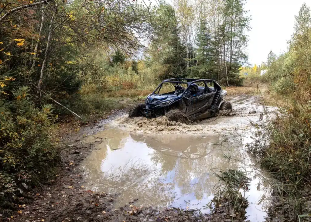 Photo 18.5 – grande taille