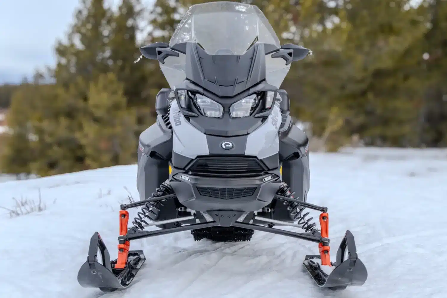 Photo 3 – grande taille