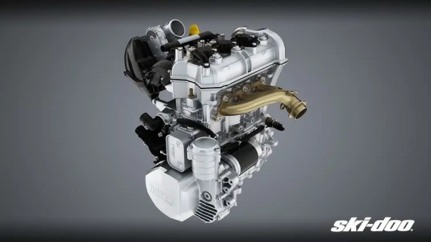 Photo 3.5 – grande taille