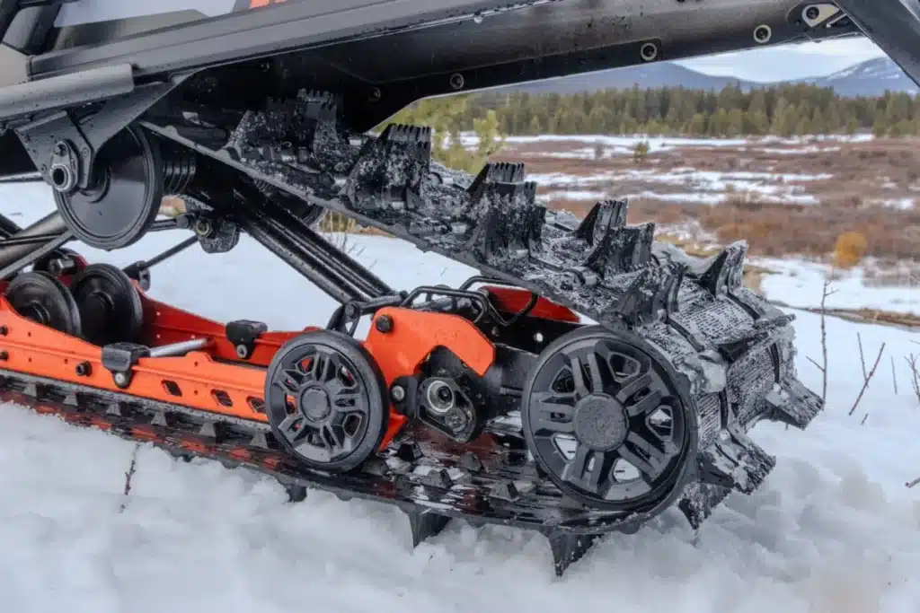 Photo 4 – grande taille