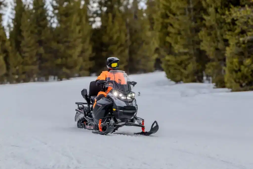 Photo 6 – grande taille