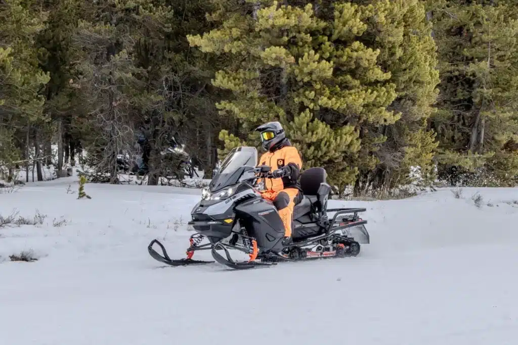 Photo 7 – grande taille