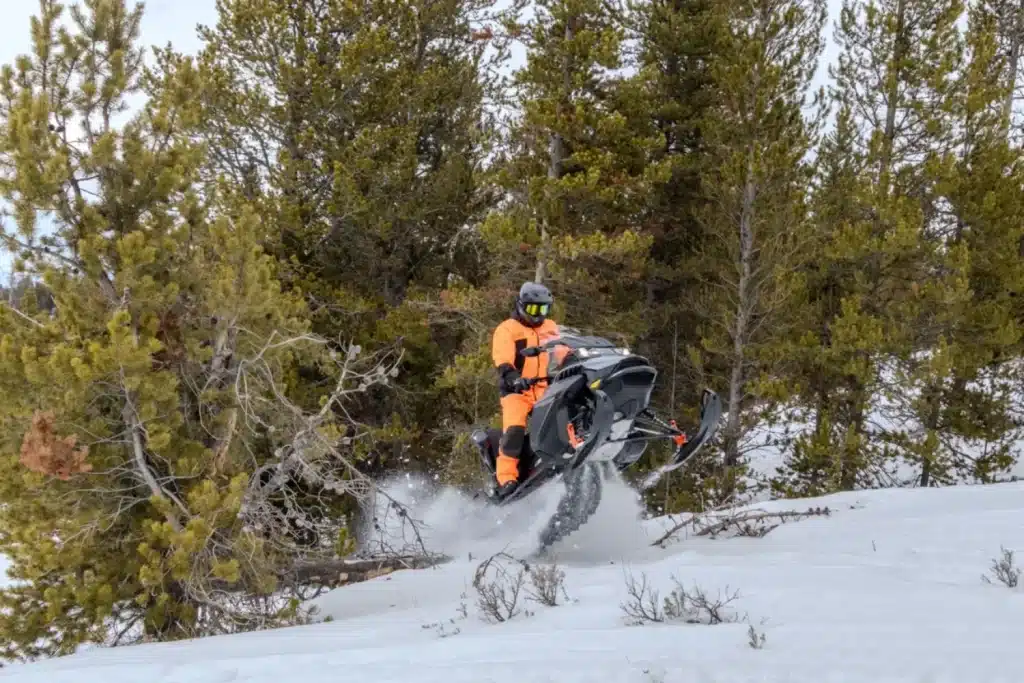 Photo 8 – grande taille