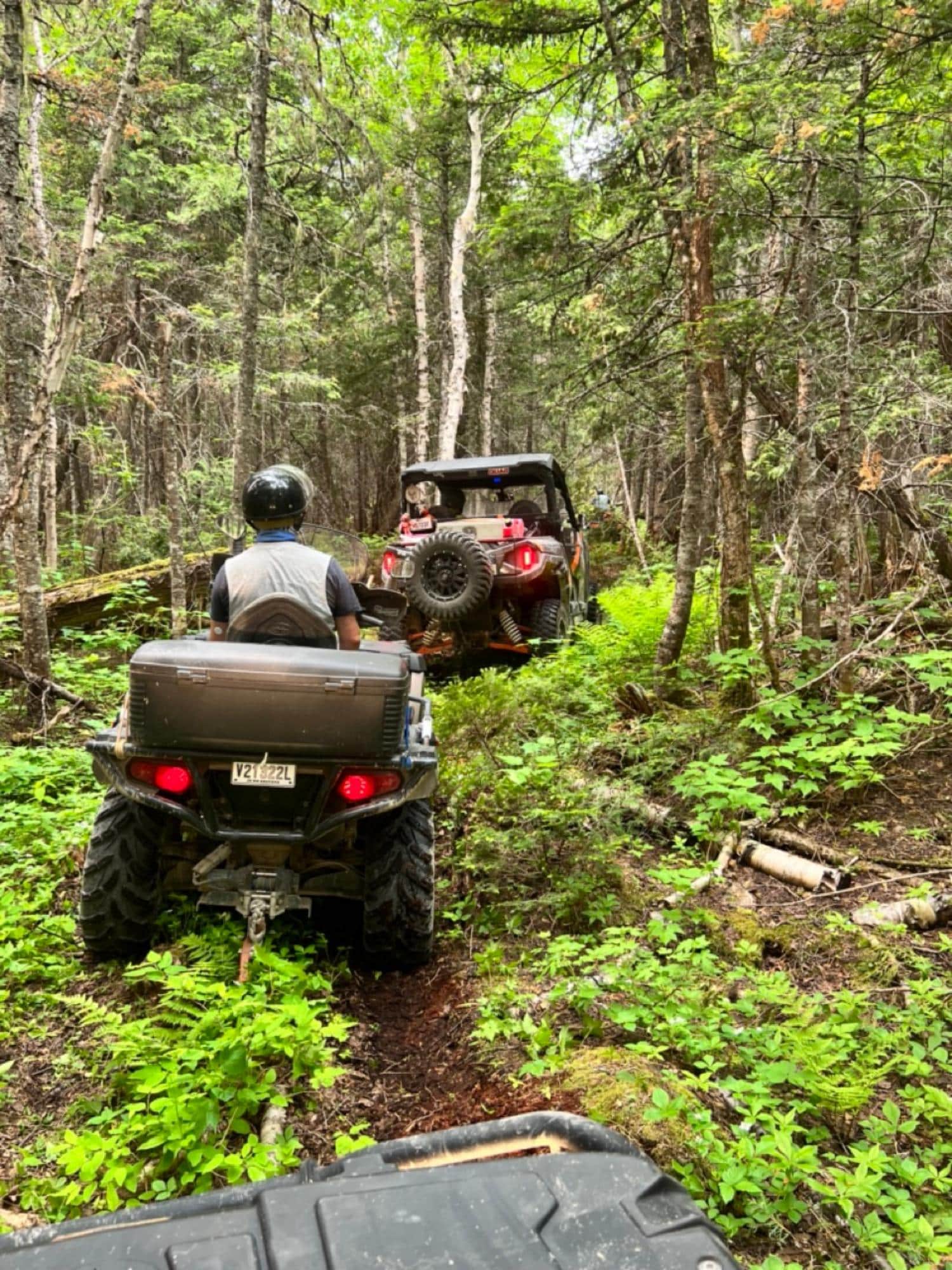This type of narrow trail is not suitable for large ATVs