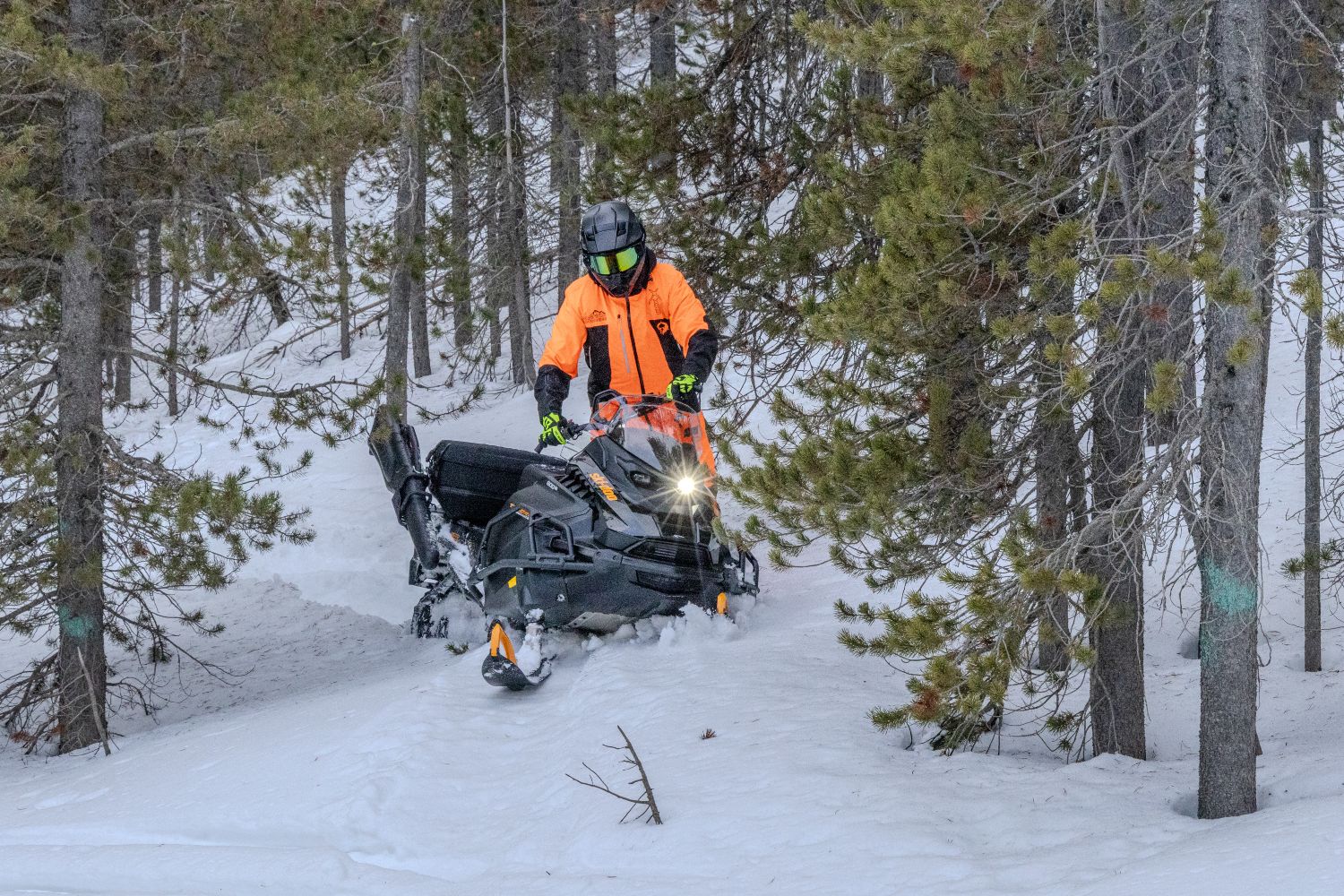 The Ski-Doo Tundra moves easily through the forest.